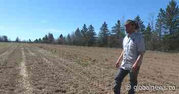 ‘Canadians should be very concerned for their food supply’ says New Brunswick farmer