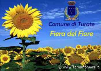 A Turate domenica 1 maggio la fiera del fiore - SaronnoNews.it