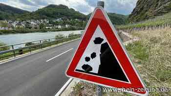 Rodung wegen Steinschlagrisiko? Winzer klagt - Kreis Cochem-Zell - Rhein-Zeitung