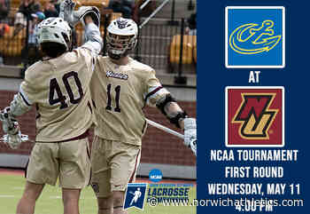 Men's Lacrosse: Norwich to Host Maine Maritime in NCAA Division III Tournament First Round - Norwich - norwichathletics.com