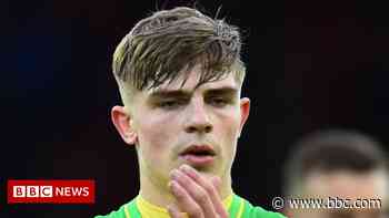Norwich City's Brandon Williams 'taunted and abused by fans' - BBC