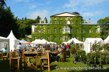 Sommergefühle auf der Landpartie Engelskirchen - Oberberg Aktuell