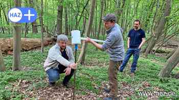 Sehnde: Projekt der Uni Hildesheim findet im Wald Ladeholz Eisenerz - HAZ