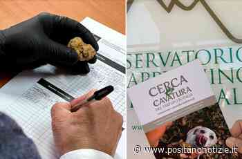 Nasce la scheda di caratterizzazione sensoriale del Tartufo Campano - Positano Notizie