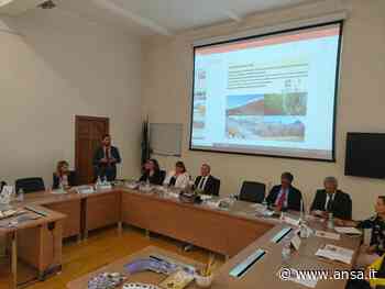 Aglio rosso di Sulmona, un museo per raccontare storia e usi - Terra & Gusto - Agenzia ANSA