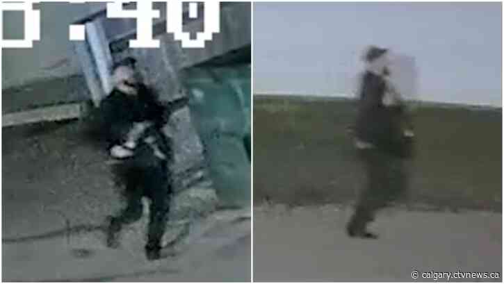 Calgary police release new photos, video of deadly road rage suspect