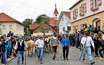 Viehscheid Haldenwang 2022: Termin, Fotos, Almabtrieb, Unterkunft, Anfahrt, Parken, Alpen, Ablauf, Besonderheit - Allgäuer Zeitung