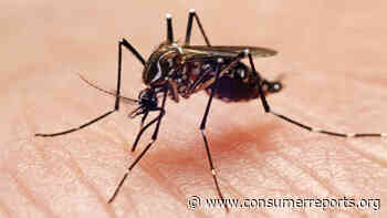 Smarter: How to Not Get Eaten Alive by Mosquitoes - Consumer Reports