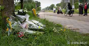 Een kale plek in de bast van de boom laat zien waar jonge Nieuwegeiner (22) op scooter overleed - AD.nl
