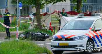 22-jarige scooterrijder overleden nadat hij uitwijkt voor fiets en tegen boom botst - AD.nl