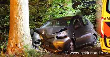 Vrouw botst tegen boom in Overberg; blaastest positief - De Gelderlander