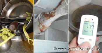 The rise and fall of Moon River takeaway from five-star rating to flies on food and fraud - Hull Live