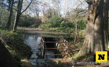 Merate | Il laghetto di San Rocco passa al Comune per 40 anni - Lecco Notizie