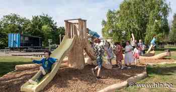 Door storm vernielde boom herleeft als... speeltuintje - Het Laatste Nieuws