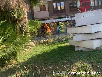 Trani, alcuni percettori del reddito di cittadinanza in azione per la pulizia delle aree verdi - Radio Bombo