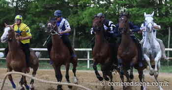 Palio di Siena, prove di addestramento dei cavalli: il nuovo calendario degli ultimi tre appuntamenti - Corriere di Siena