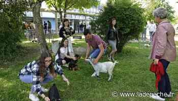 Caussade. Pet’s-week, les animaux s’invitent au lycée Clair-Foyer - LaDepeche.fr