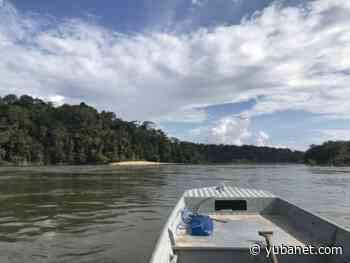 Dynamic rivers contribute to Amazon's rich bird diversity - YubaNet