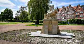 Ros Beiaard centraal in Zaal Mariakring | Dendermonde | hln.be - Het Laatste Nieuws