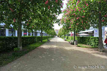 Attacke Am Wall! Junger Mann in Chemnitz niedergeschlagen und beklaut - TAG24