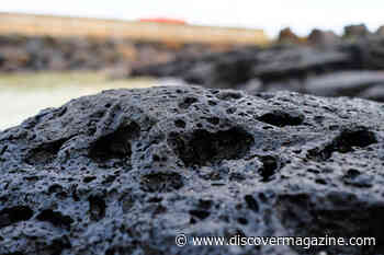 Microscopic Crystals Reveal Multiple Jurassic Extinctions