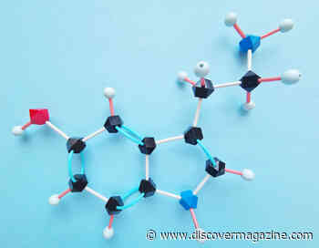 5 Essential Neurotransmitters for Everyday Life