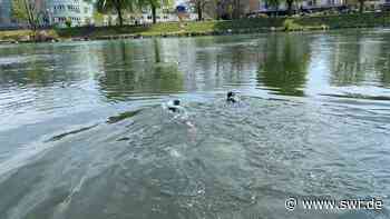 Umweltprojekt in Ulm gestartet: Wie sauber ist die Donau? - SWR Aktuell