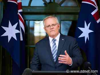 Morrison wants to develop a national plan to address local chip shortage