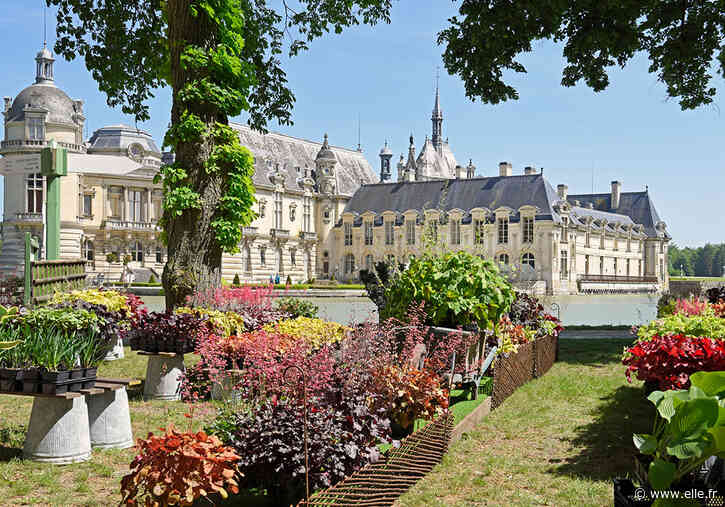 On ne résiste pas aux Journées des plantes de Chantilly - ELLE France