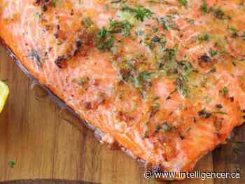 Steelhead trout made easy - Belleville Intelligencer