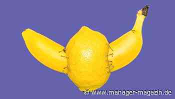 Disruption: Warum radikale Ideen sich schwer durchsetzen