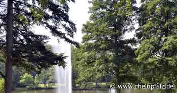 Erste Neunkircher Kirmes seit 2019 ab Samstag in Furpach - Neunkirchen - Rheinpfalz.de
