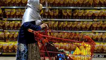 Exporters accused of trying to smuggle cooking oil out of Indonesia as shipment seized