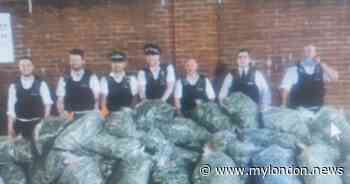 Police seize £1.5m of cannabis from Bromley property and pose with 30 giant bags - My London