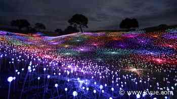 Immersive light installation coming to Austin's Wildflower Center in September - KVUE.com