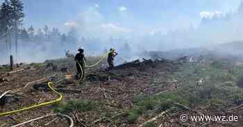 Feuerwehr Krefeld unterstützt bei großem Waldbrand in Euskirchen​ - Westdeutsche Zeitung