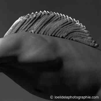 Photo London 2022 : MMX Gallery : Brian Griffin - The Eye of Photography