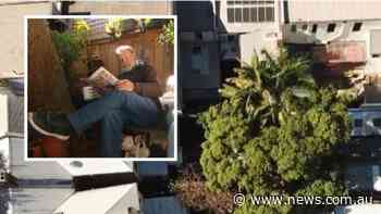 Couple stuck as tree takes over home - news.com.au