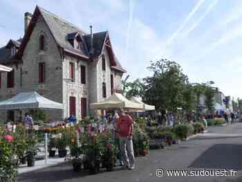 Audenge : Un programme chargé pour la fête de la Saint-Yves - Sud Ouest