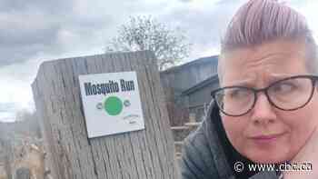 Smackdown! B.C. village ditches buggy trail name in attempt to attract more visitors - CBC.ca