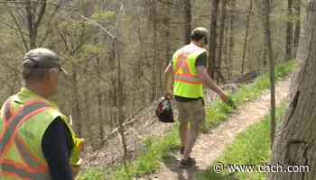 Walking the Bruce Trail with the volunteers who maintain it - CHCH News