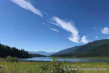 LETTER: Leash your dogs on the Slocan Valley Rail Trail - Nelson Star