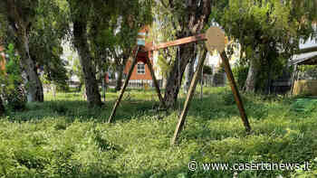 L'altalena quasi scompare per l'erba alta: Sos dei residenti | FOTO - CasertaNews
