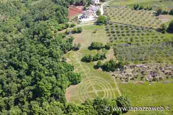 Zovencedo, sono apparsi tre cerchi nel grano. Anzi, nell'erba - La Piazza