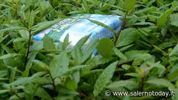 Erba alta e rifiuti sparsi a Torrione: degrado a pochi passi dalla Carnale - SalernoToday