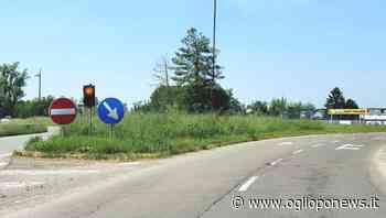 Rotonda per Parma, erba alta: urge intervento rapido - OglioPoNews - OglioPoNews