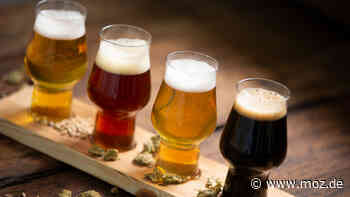 Bier aus Brandenburg: Brauereien in Neuzelle und Finsterwalde kämpfen mit Explosion der Preise - Märkische Onlinezeitung