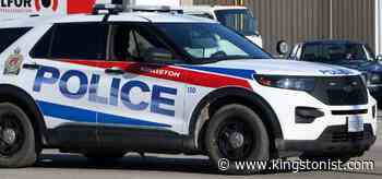 Kingston Police lay charges after puppy locked in trunk of vehicle - Kingstonist