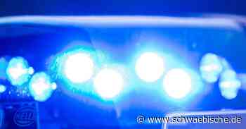 Essingen: Unbekannte reißen Skulptur vom Sockel - Schwäbische