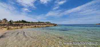 Bandiere blu, la provincia di Brindisi ancora protagonista. Il plauso di Leoci - L'Ora di Brindisi